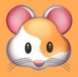WWW,483av·COM网站APPAPP应用